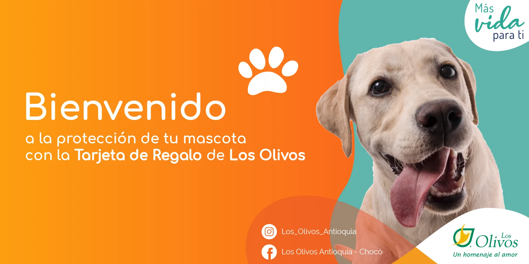Tarjeta de regalo Los Olivos 01